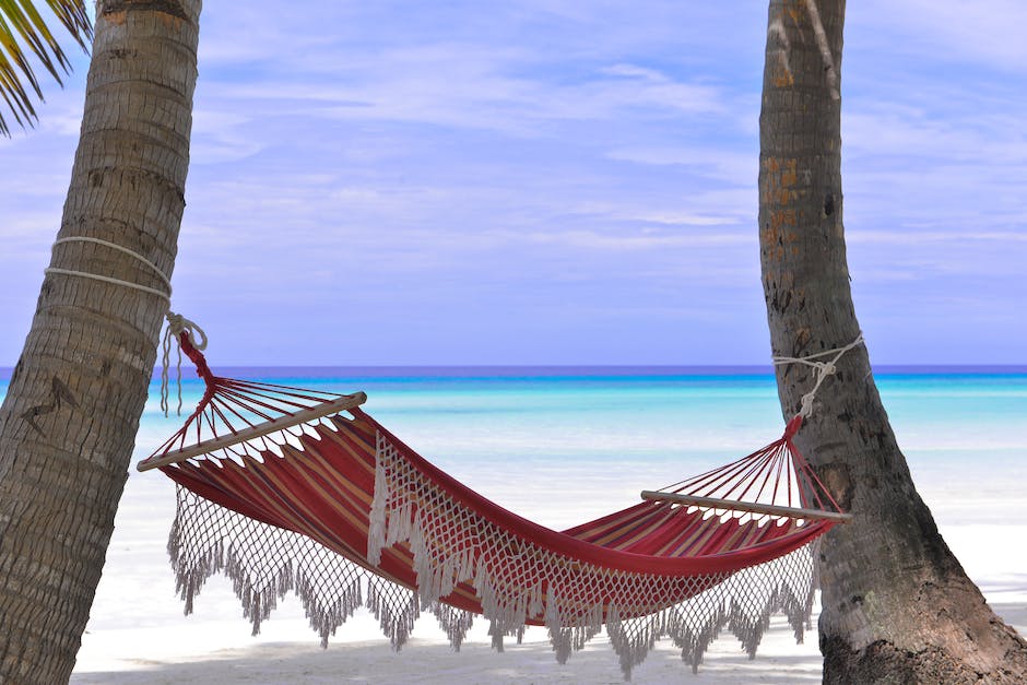 Royal Caribbean CEO: Chat function in application will be free of charge starting off in 2023 – Royal Caribbean Blog