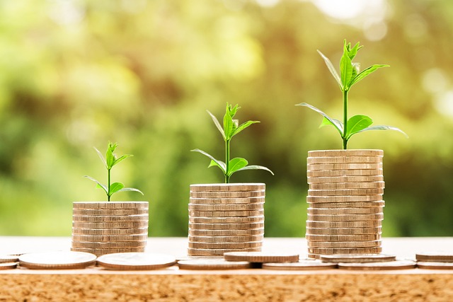 27 Banks and Credit rating Unions With Dwell Chat Customer Assistance – Company Insider