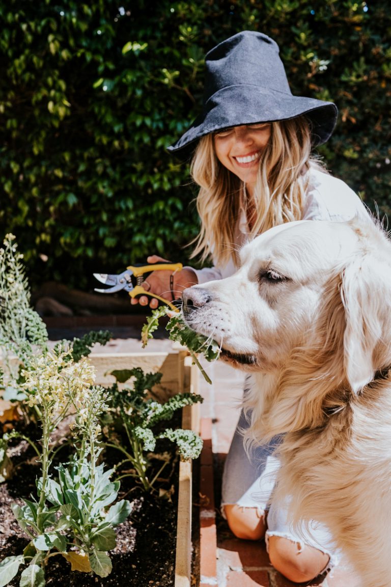 12 Spring Hobbies to Make the Most of the Season
