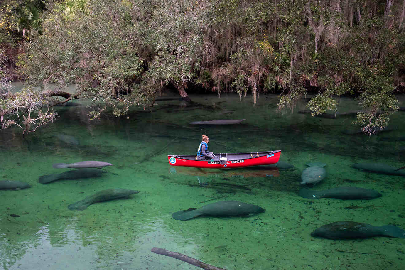 15 Best Natural Springs in Orlando & Central Florida