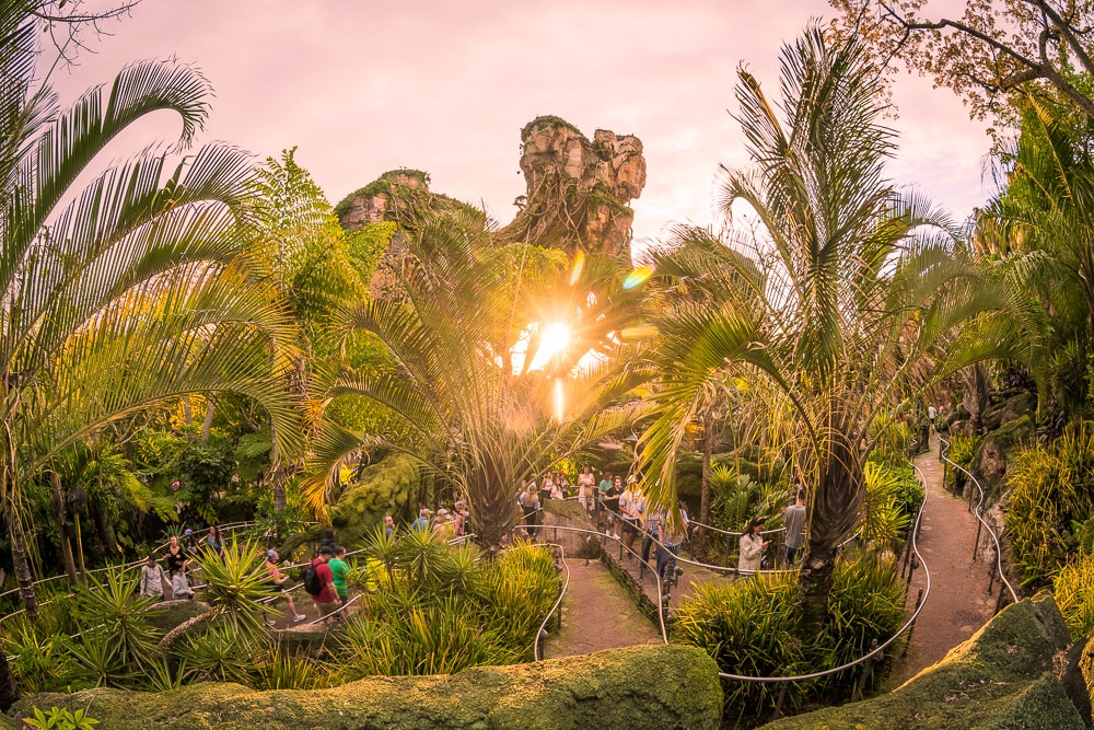 Early Entry & Park Opening at Animal Kingdom: Speed Running Ride Strategy
