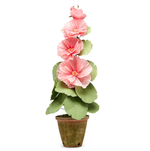 Everything You Need to Get Excited for Spring