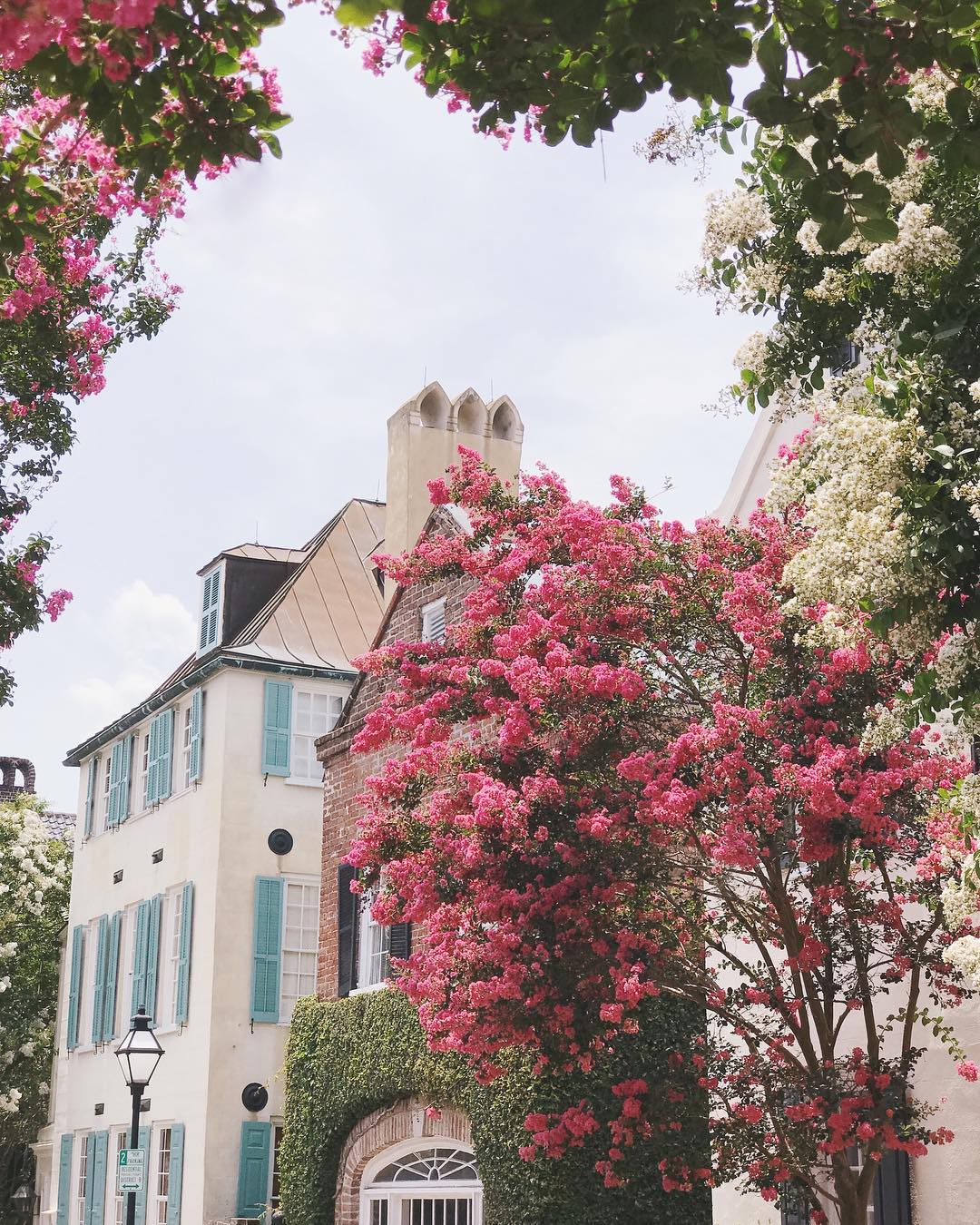 Our Charleston Guide – Julia Berolzheimer