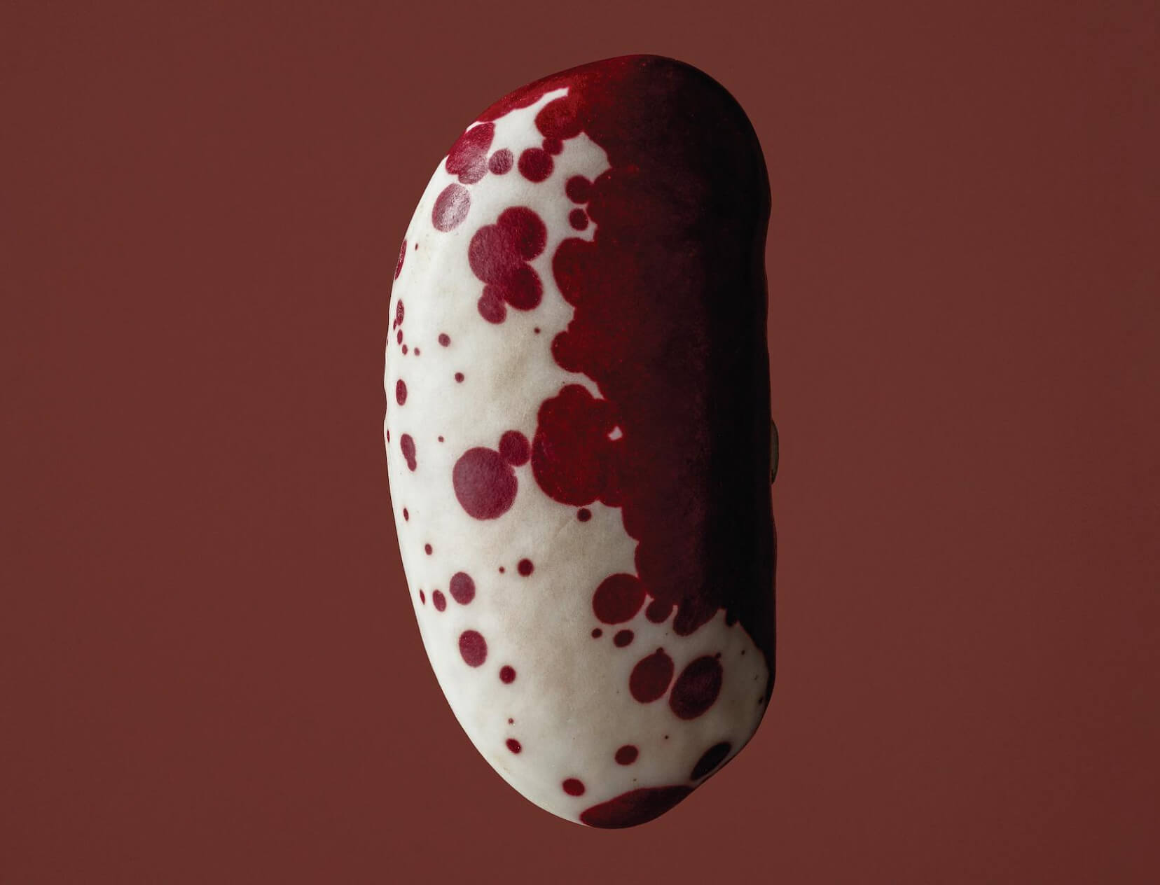 Time-Tested Recipes to Transform the Beans in Your Pantry