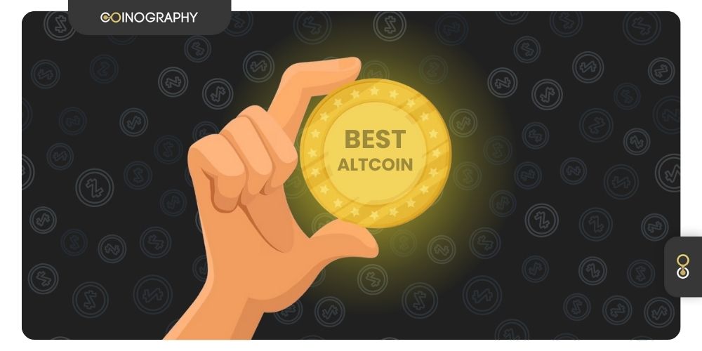 Altcoins: How to Trade And Store Them?