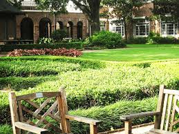 Compassionate Care: Hospices in Houston, Texas