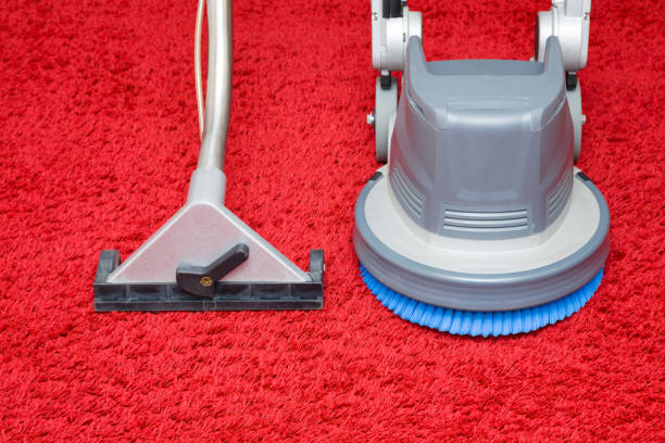 Effective Cleaning Solutions for Your Home: Pet Stain Remover and Rug Cleaner