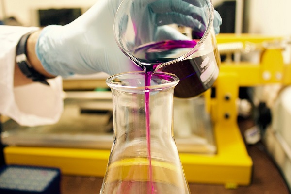 New Findings about PIWI Family Proteins You May Want to Know