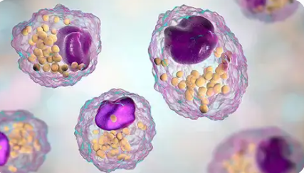 Exploring the Intricate Link Between Bile Acids and Disease