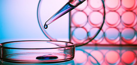 Creative SuperCut Series: Redefining Precision in Molecular Biology