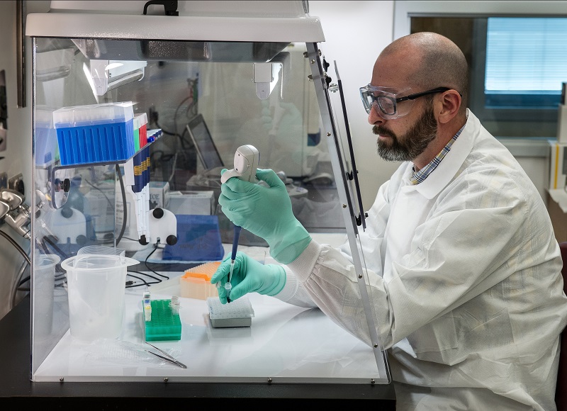Scientists Uncover Secrets of Plant Regeneration