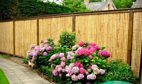 Enhancing Privacy with Exclusive Tarps: Your Guide to Privacy Fencing in Dubai