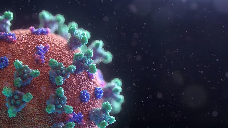 Enzyme Engineering by Random Mutagenesis