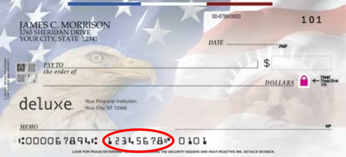 Breaking Down the Options: A Comparison of Deluxe Check Designs