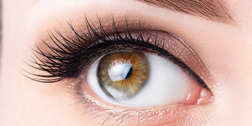 How to keep your eyebrows healthy