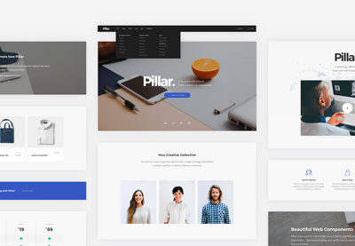 Types of Website Themes
