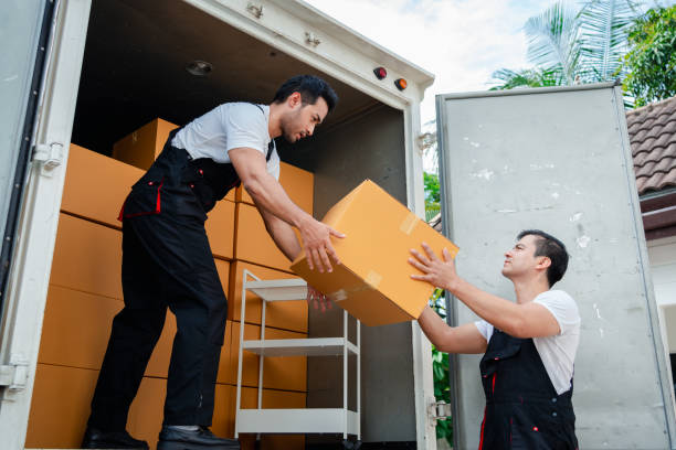 Furniture Movers Sydney: Complete Guide to Safe and Efficient Moving